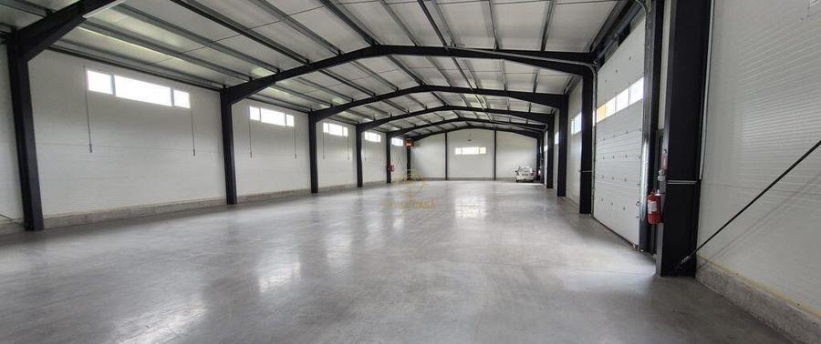 De inchiriat Spatiu Productie/Hala 598MP-Satu Mare - 3