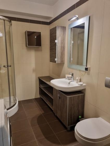 Apartament luminos si spatios, in zona Baneasa - 13