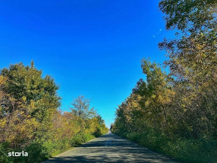 Casa noua P+M, 4 camere Lehliu-Gara, la doar 5 minute de A2 - 7