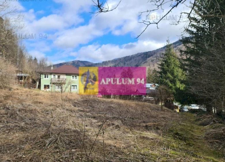 Teren de v&acirc;nzare &icirc;n Sinaia - Platou Izvor - 3