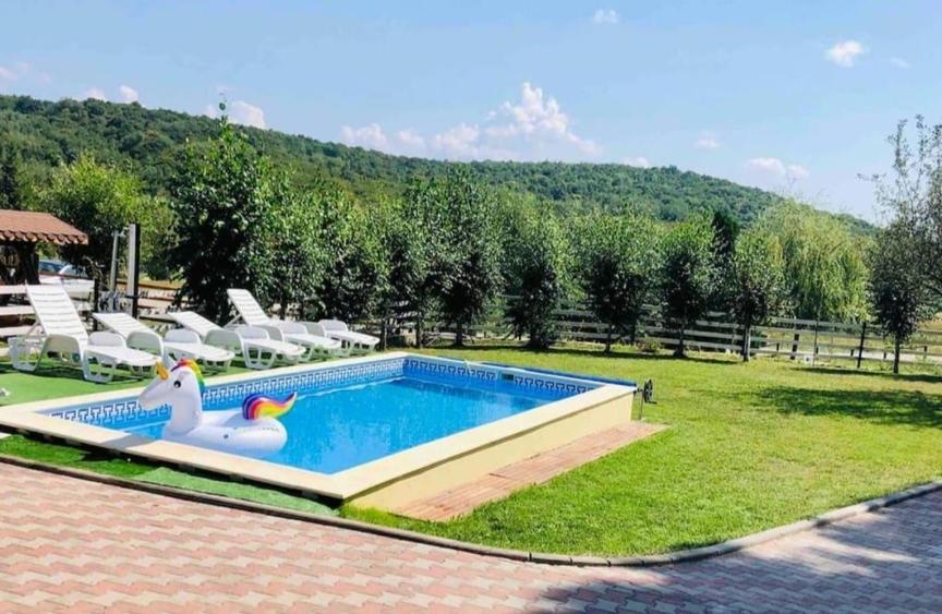 Casa cu destinatie multipla, teren de 1560 mp,  piscina,  Feleacu - 1