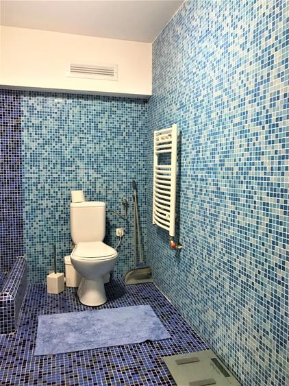 Casa superba Parcul Subarini - 25