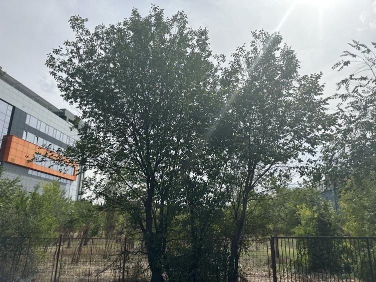 DESHIDERE  46m la  Bd. Theodor Pallady 40F/8300MP/ - 7