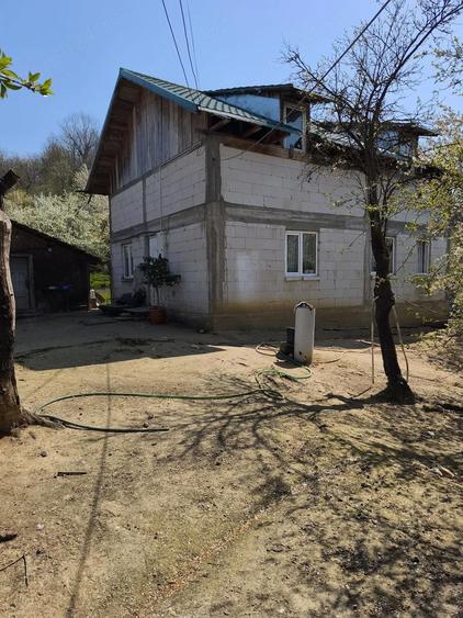 Proprietate completa 0,9 ha Casa P+1 + foi?or + livada + padure in spate Boga?i, Arge? - 2