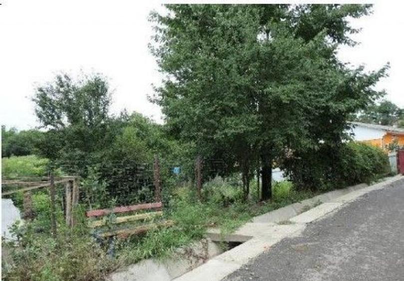 Casa si teren Costinesti, Botosani, ID: R2728052 - 8