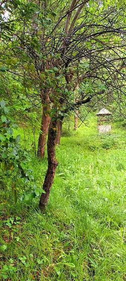 Vand proprietate in Vadu Cri?ului, jud. Bihor - 8