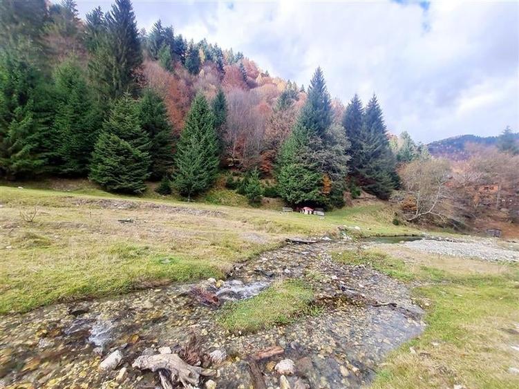 Teren intravilan panoramic 4.600mp,view iconic Piatra Craiului,oportunitate prem - 7