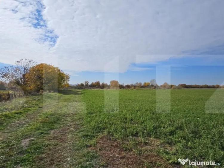 Teren in Razvad intravilan 1400mp cu acces la curent electri - 2