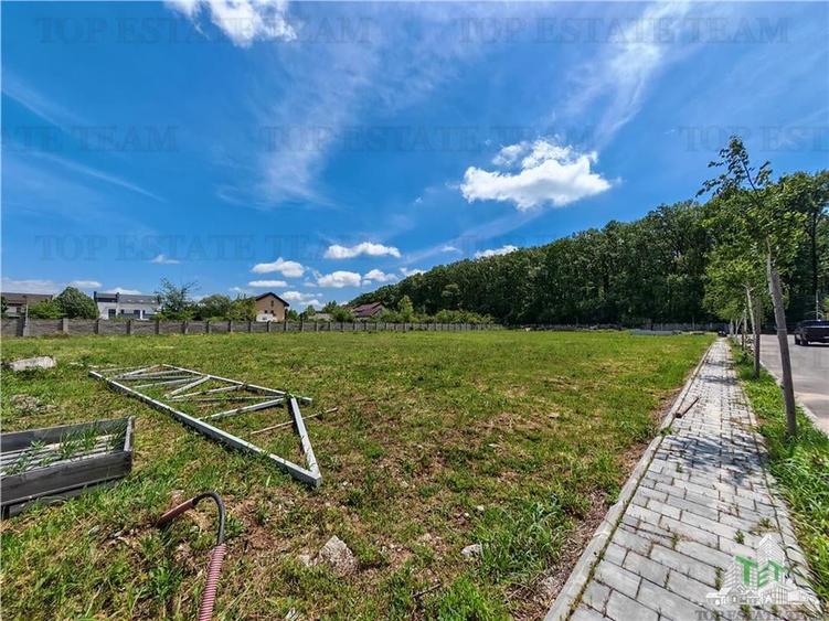 Teren constructii in proximitatea Padurii Corbeanca - 2