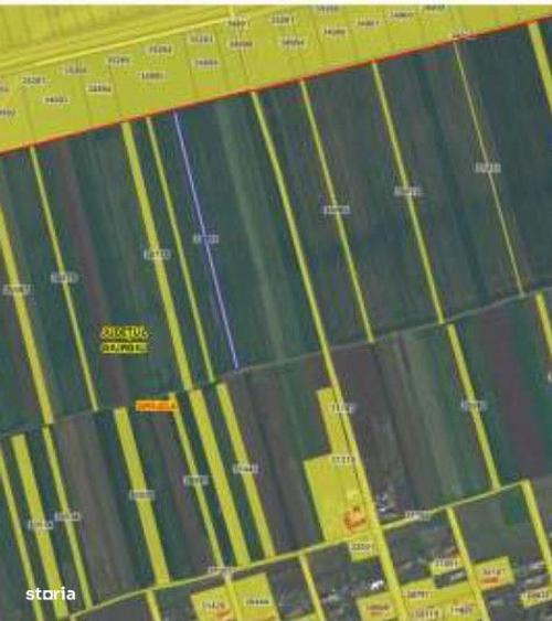 Teren extravilan Cota parte 29/64 Greaca, ID: R3030129 - 2