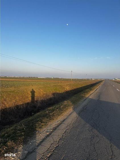 Teren Industrial Oradea spre Livada - 2