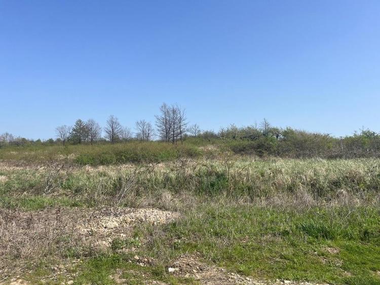 Gaminvest Teren intravilan de vânzare 4910 mp, Săldăbagiu de Munte, Bihor, V4137 - 2