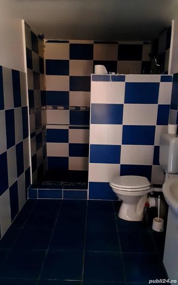 Vand casa langa Variasu Mic - 4