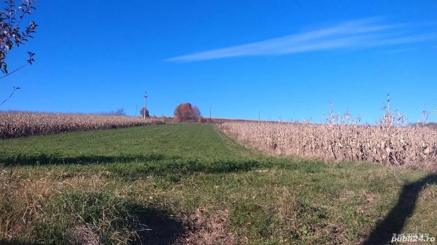 Vand teren de casa, intravilan, utilitati la poarta - 2