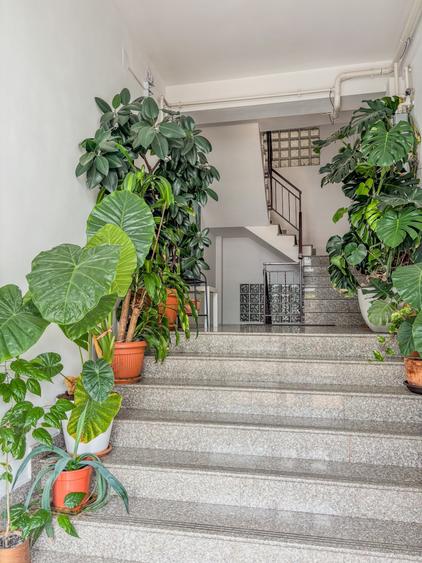 APARTAMENT 3 CAMERE JIULUI + TEREN (4 LOCURI DE PARCARE EXTERIOARE) - 6