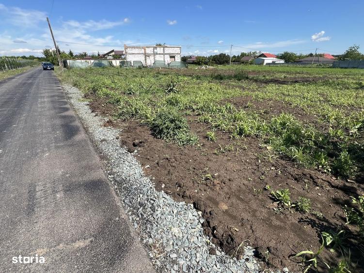 Teren 500 mp Lilieci - 4