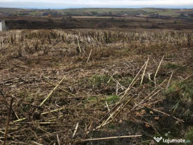 Teren intravilan, 5000 mp, Siret - 2