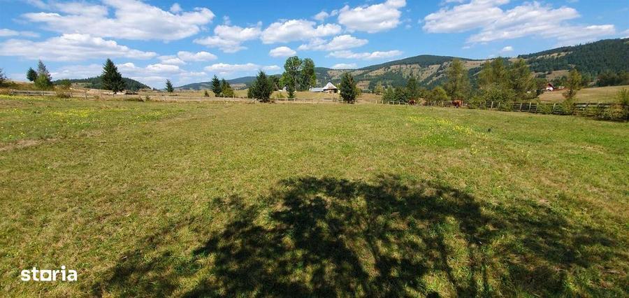 Teren 7000mp Arieseni - 4