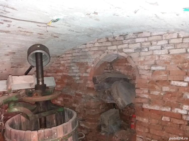 vand casa saseasca - 8