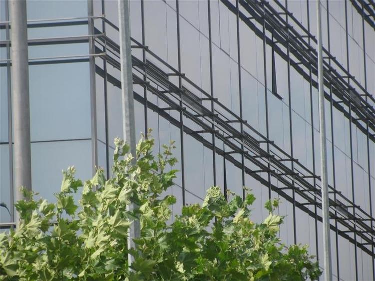 Inchiriere birouri in Victoria Park de la 223 mp - 5