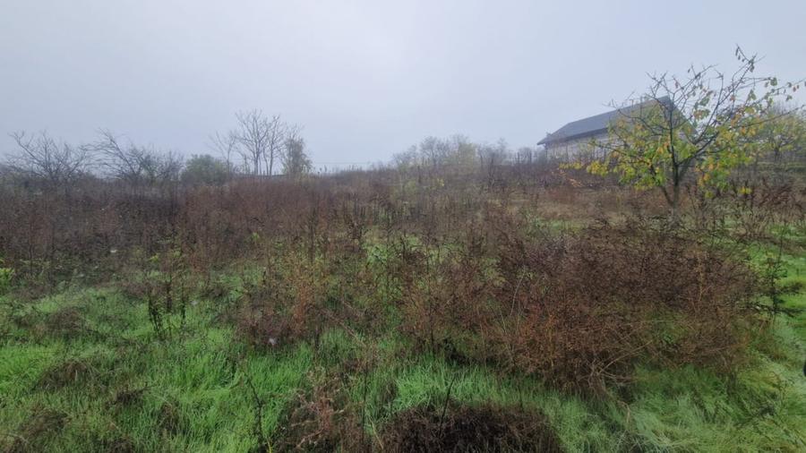 MINERI - CASA 4 CAMERE SUPRAFATA 97 MP, TEREN 3300 MP - 13