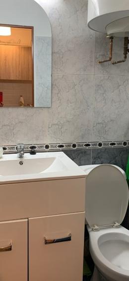 Garsiniera - Bartolomeu- Str Lanii - 2