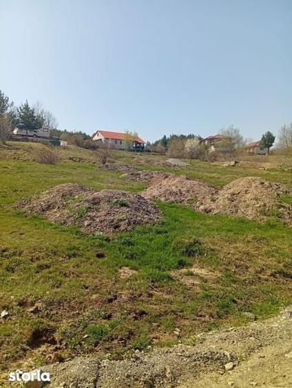 Teren de vanzare - 1
