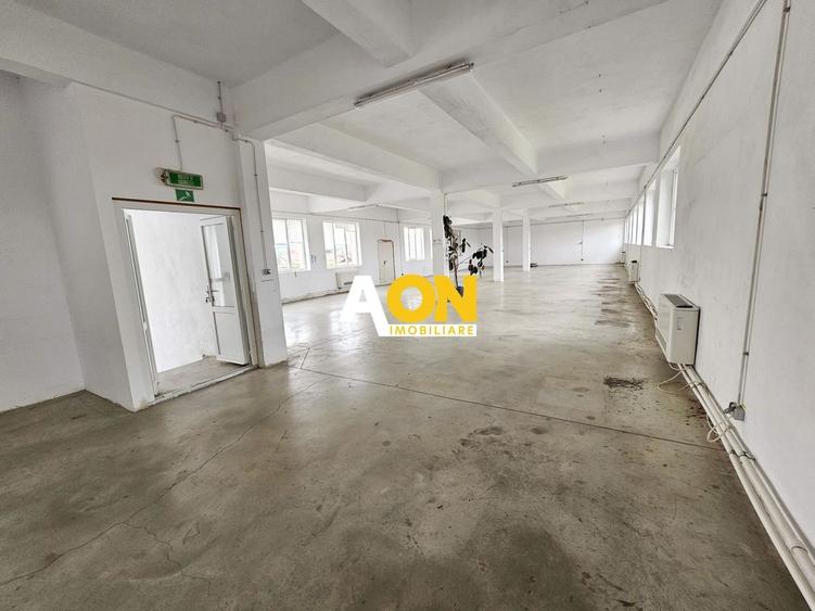 Spatiu industrial pentru productie sau depozitare, 1600 mp, Sebes - 18