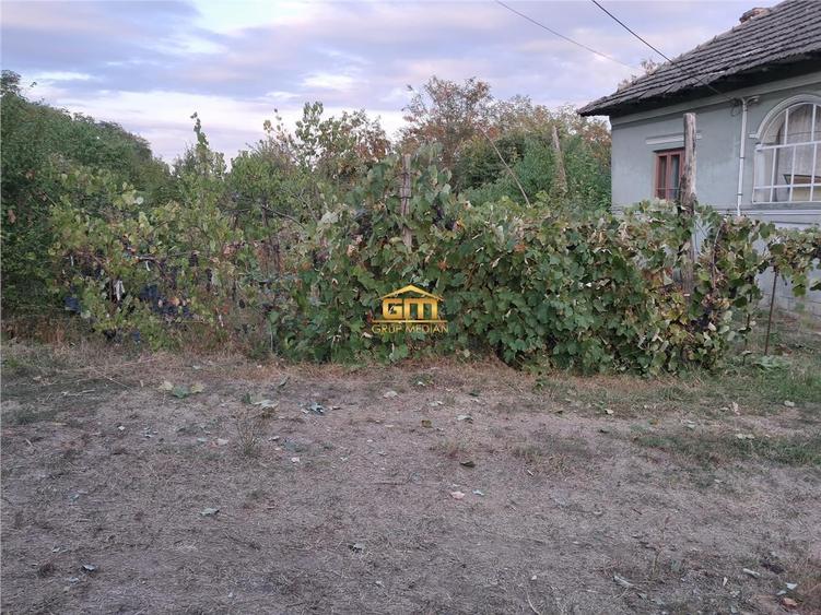 Casă individuală cu 3 camere cu Teren 1150 Mp în Nicolae Bălcescu