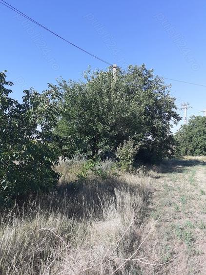 Teren de 4000 mp, în Căldărușeanca