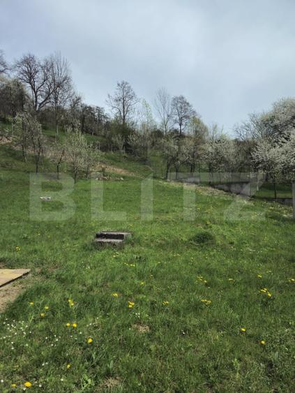 Casă individuală cu 6 camere cu Teren 3000 Mp în Runcu