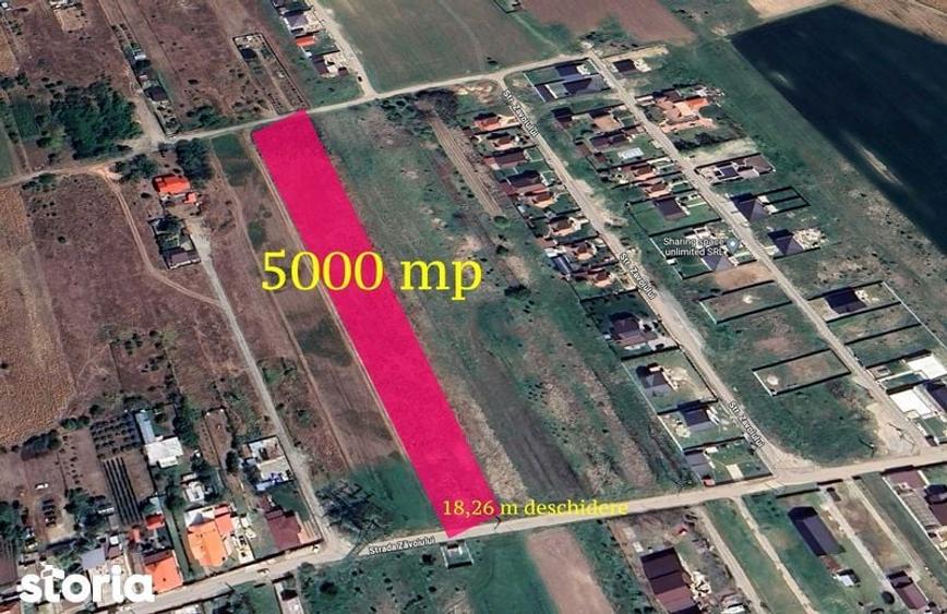 Teren de 5000 mp, în Coteana