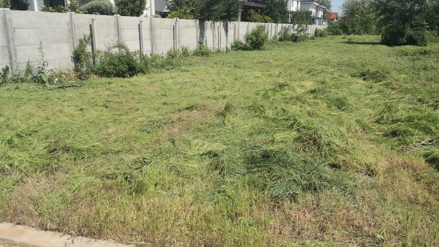Teren de 2019 mp, în Dragomirești-Deal