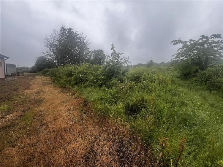 Teren intravilan, 1000mp, in Valea Calugareasca. - 6