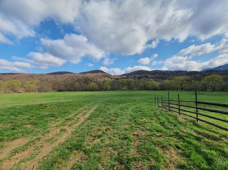 Teren Rasnov – Predeal zona de pensiuni - 2