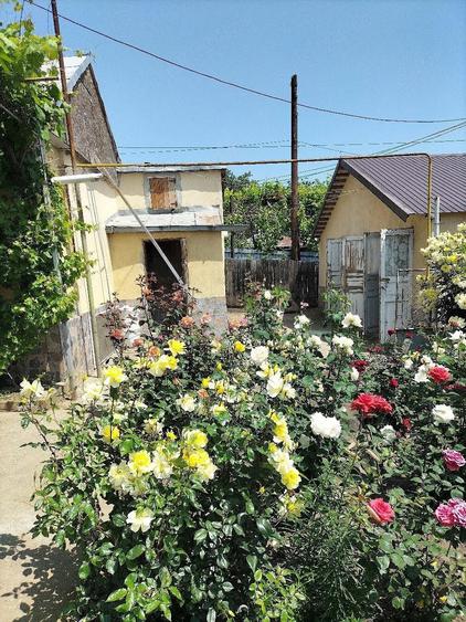 Vand casa Tecuci - 5