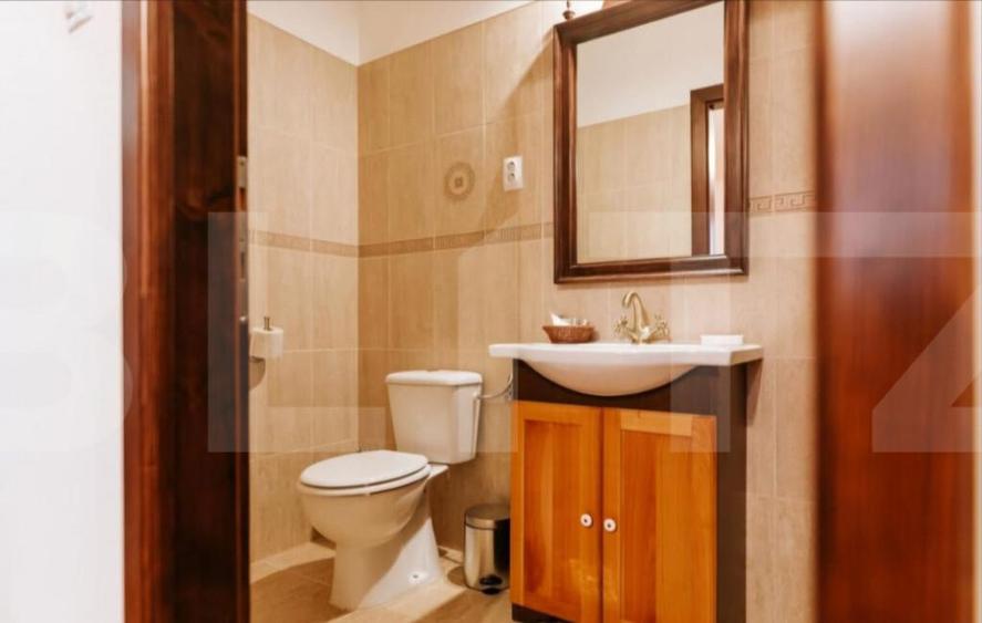 Conac de vanzare 7 camere cu bai proprii, crama, ciubar ? - 2