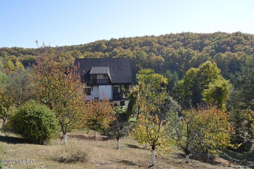 Topoloveni - Conacul Ion Mihalache, Domeniu pe 5 Hectare! - 40