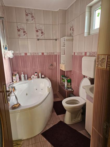 Vila superba cartier Andronache - 13