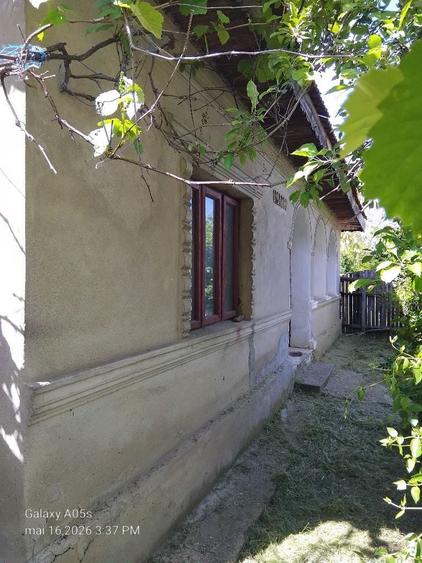 27000 Euro. Casa batraneasca de vanzare judetul Calarasi Lehliu sat - 11