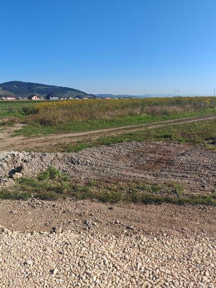 Teren Intravilan de vanzare - 1