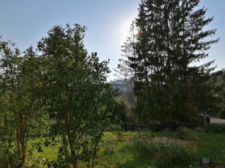 Vand casa in Predeal