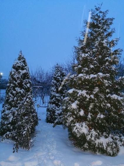 FARA COMISIOANE casa cu 6 camere 2 bucatarii P+1 TIGLA PISCINA BECI GARAJ - 22