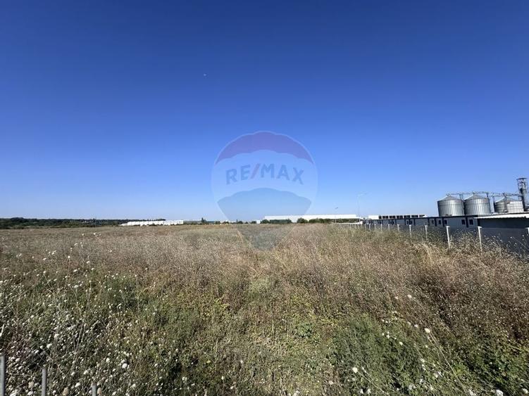 Vânzare Teren Industrial – Ștefăneștii de Jos (22.800 mp) - 2