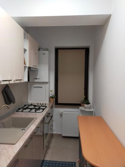 apartament cu două camere, mobilat, utilat, loc parcare- bucium / Lidl - 8