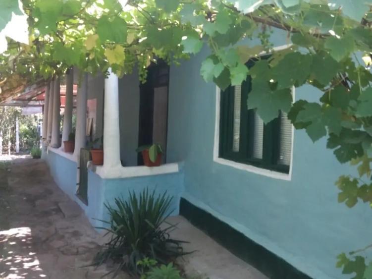 Vand casa locuibila Izvoarele - 2