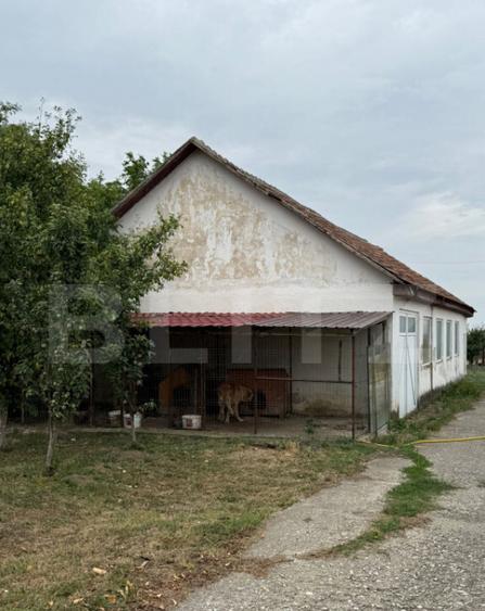 Ferma de Vanzare in judetul Timis, la nord est de Timisoara, - 23