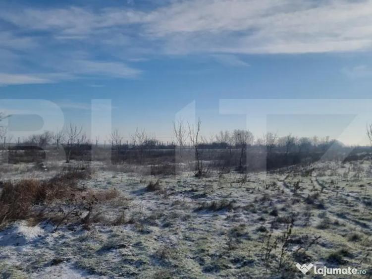 Teren cu livada Nuci- Oportunitate investitie- CioraniPh - 9