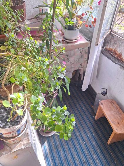 Apartament 2 camere langa scoala 1 Mai strada Regele Carol Ultracentral - 4