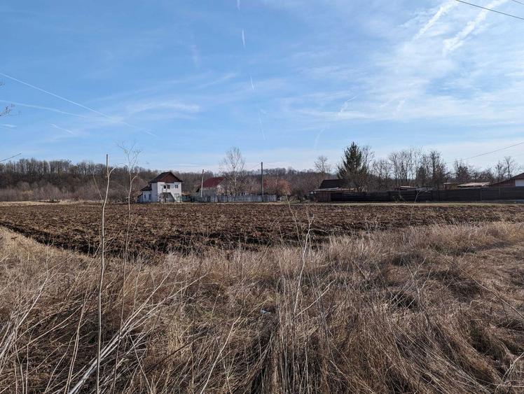 Vand teren in Brosteni cu deschidere 55ml la DN65 - 1